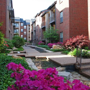 Flowers in bloom in a courtyard at Tonti Lakeside