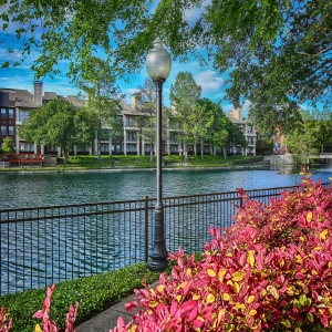 Beautiful landscaping looking out onto the lake at Tonti Lakeside