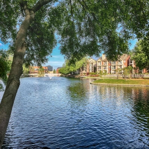 View of the lake from behind a tree