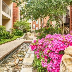 Flowers in bloom in a courtyard at Tonti Lakeside