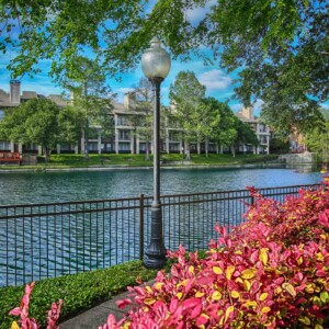 view of lake